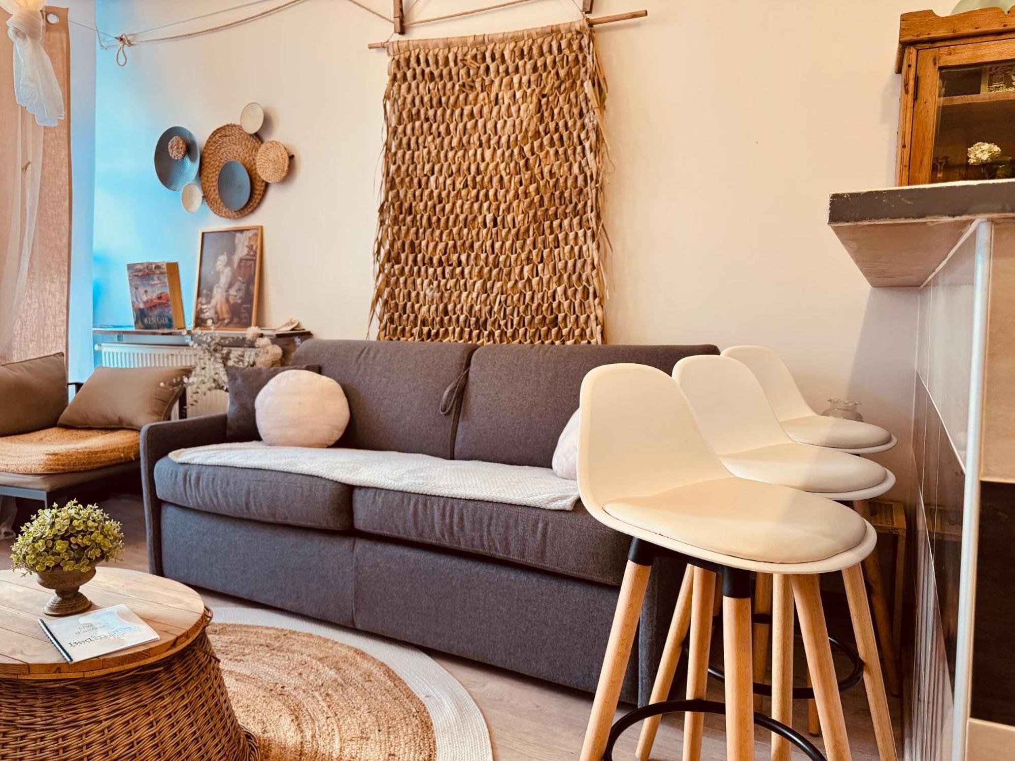 La Lavandiere, Centre Historique, Fibre, Ess, Rez-de-chaussee, Bedinshop Apartment Romans-sur-Isere